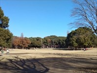 県単公園整備工事（行田公園・東側水道管更新）