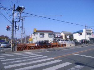 �V�z�H���摜1