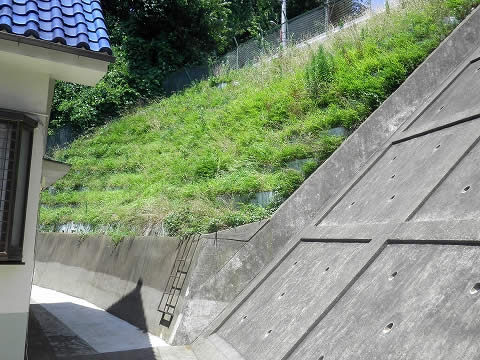 法面保護工事施工前