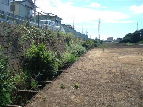 河川護岸工事施工前