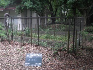 県単公園整備工事（行田公園・浄化槽撤去工）1