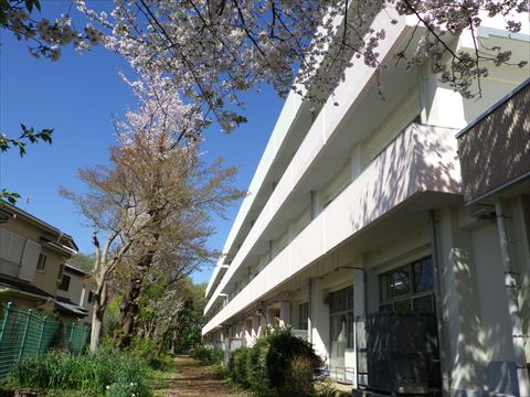 中学校校舎外壁屋上改修工事1